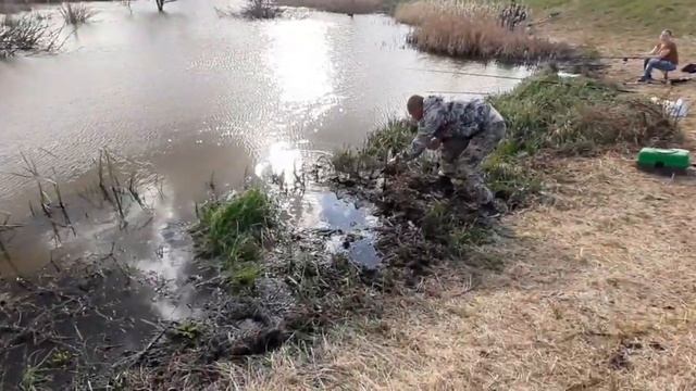Платная рыбалка, пруд Черноморец 05.05.20г. Уловы рыбаков. смотреть онлайн
