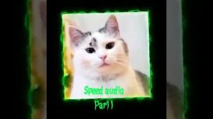 ?Встречай мир А ну ка Давайка!?