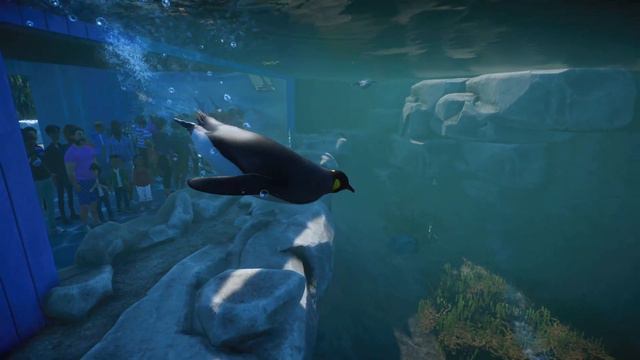 Planet Zoo [PC] Aquatic Pack Trailer смотреть онлайн