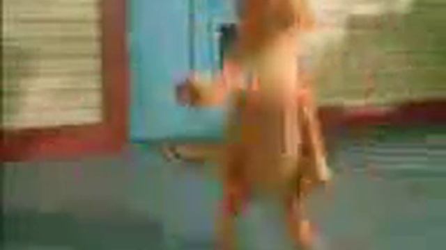 Дуба дуба дубада наставляет колбоса