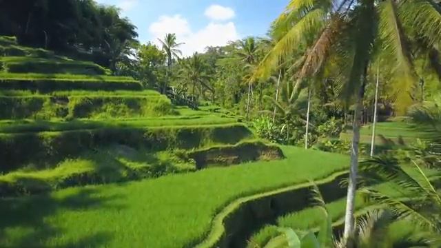 Расслабляющая музыка для снятия стресса #10 смотреть онлайн