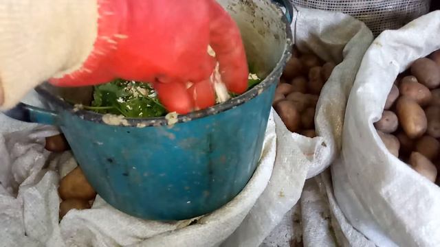 Чтобы куры неслись, Лахманский рецепт смотреть онлайн