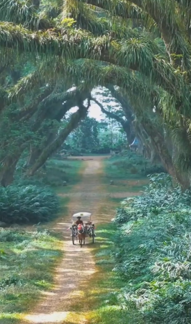 Красивейшая цитата Киплинга про незацикленность на деньгах. Для позитива и релакса