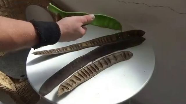 МОЙ ответ ЛЕРЫЧУ  и ( всяко разно ).