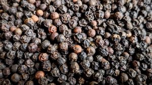 Перец черный. Где и как растет черный перец?