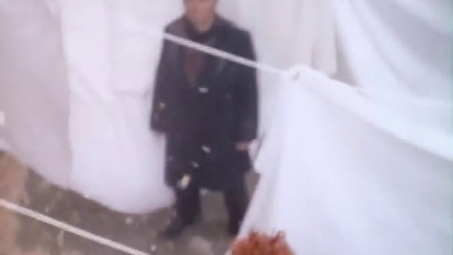 Public Image Limited - Rise