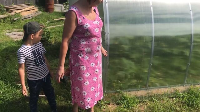 Отзыв о теплице 3 на 4 с дугами через 0,65 метра. Село Шуйское, Вологодской области. смотреть онлайн