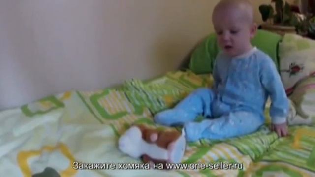 Говорящий хомяк учит младенца разговаривать смотреть онлайн