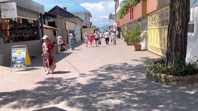 ЛАЗАРЕВСКОЕ/ ВСТРЕЧА С БЛОГЕРОМ /ШОУ ДЕЛЬФИНОВ смотреть онлайн
