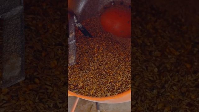 Сколько молока дают козы? #животноводство #козы #фермер смотреть онлайн