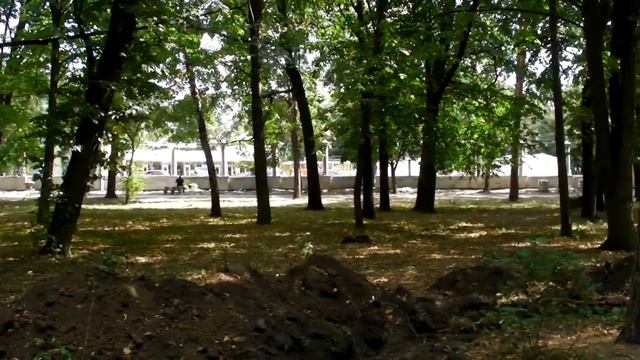 2011.09.03 Харьков. Меньше деревьев - больше брёвен смотреть онлайн