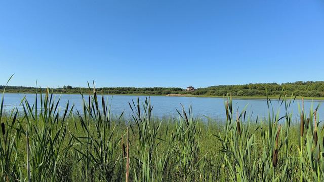 Река Уводь. ч.3. Июль 2024 смотреть онлайн