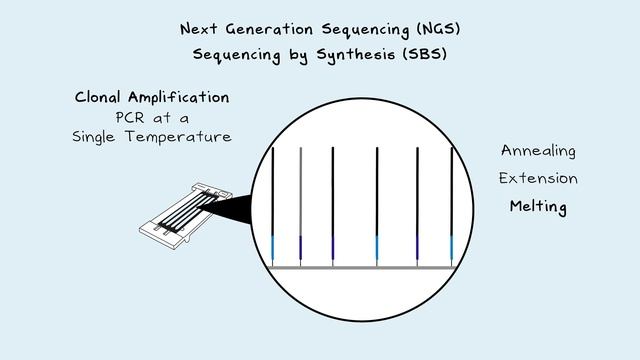 Next Generation Sequencing - A Step-By-Step Guide to DNA Sequencing. смотреть онлайн