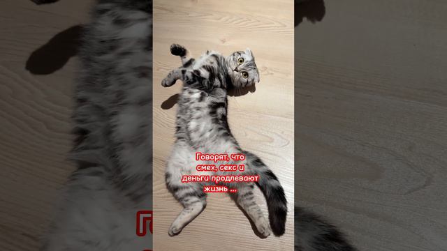 Кто чем может… смотреть онлайн