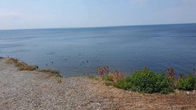 #АНАПА. ПОГОДА 21.07.2019 ДЕЛЬФИНЫ НА ПЛЯЖЕ 40 ЛЕТ ПОБЕДЫ. ЖАРА И ПРОХЛАДНОЕ - ЧИСТОЕ МОРЕ - КАМЕНЫ смотреть онлайн