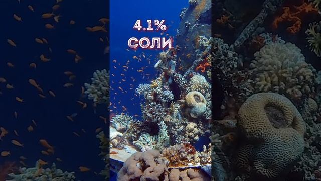 Сделай Себя Лучше