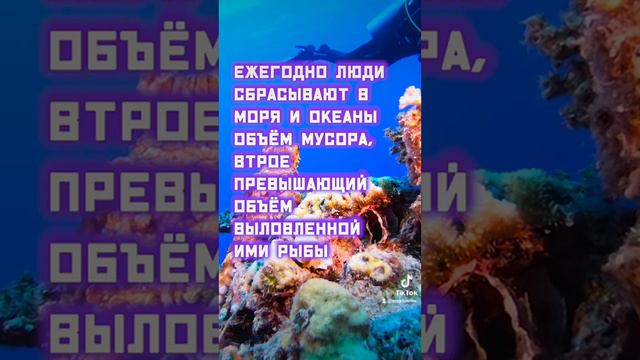 Сколько мусора сбрасывается в океан? смотреть онлайн