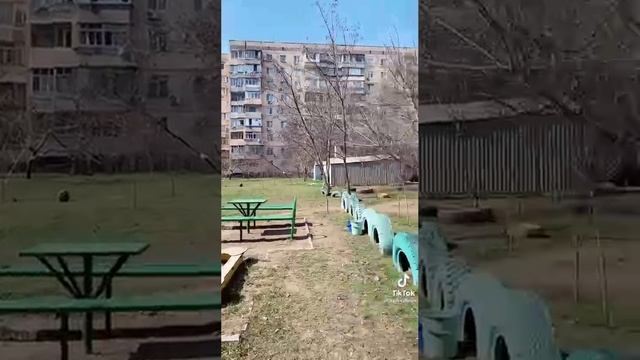 Колёса смотреть онлайн