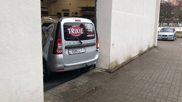 Вот такая у нас теперь крутая машина TIAN GROUP! - Lada Largus - TRIXIE #зоомагазин #зоотовары #pet смотреть онлайн