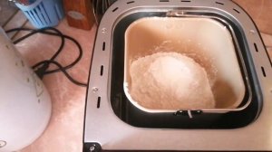 Тесто дрожжевое завожу в хлебопечки  Redmond RBM-1915/тестирую