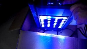 LED CYREX CLX