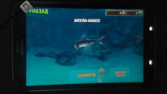 Обзор Hungry Shark Evolution (Android, iOS) смотреть онлайн