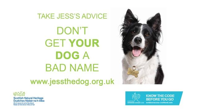 Jess The Dog Radio Ad 4 смотреть онлайн