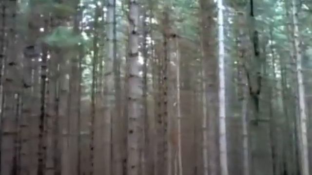 Tales from the Darkside intro смотреть онлайн