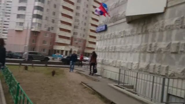 Украшение домов флажками к праздникам смотреть онлайн