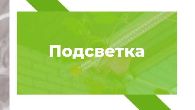 Дачный ревизор в гостях у юного садовода. Спасаем рассаду огурцов смотреть онлайн