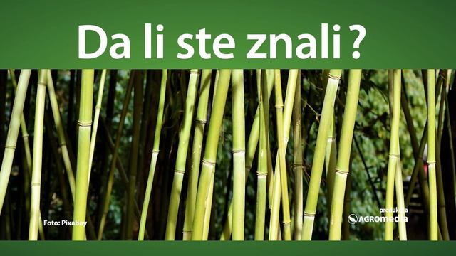Da li ste znali - Biljka koja najbrže raste смотреть онлайн