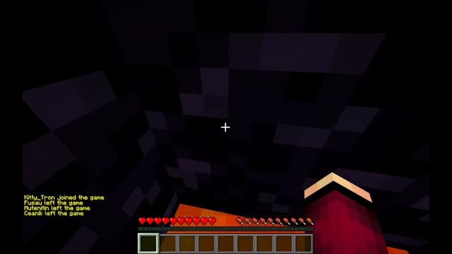What is MR BEAST's PRIVATE MINECRAFT SERVER like? смотреть онлайн