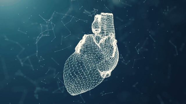 THE 5 ELEMENTS OF NATURE - Trailer смотреть онлайн