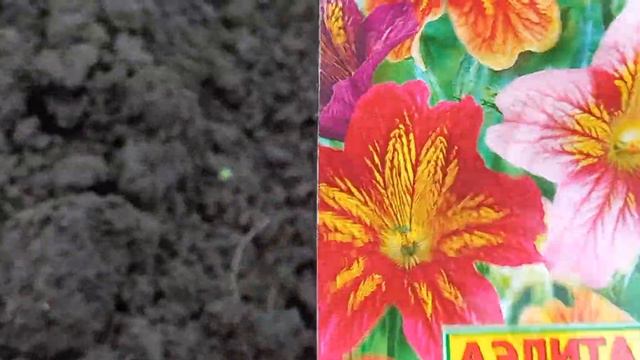 🌿Пришла весна. Первые посевы в теплице🌿 смотреть онлайн