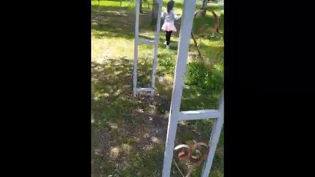 ВЛОГ живем в ДЕРЕВНЕ ЭКОЛОГИЧЕСКАЯ КАТАСТРОФА люди не ценят окружающую красоту