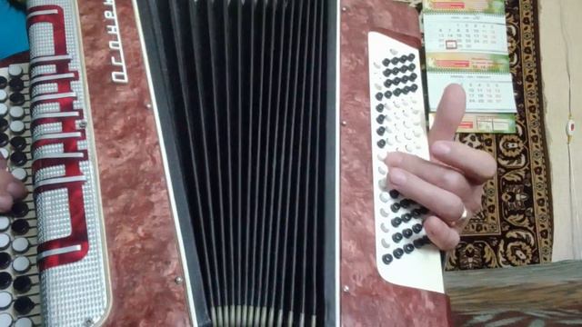 ЛЕБЕДИ кавер баян смотреть онлайн