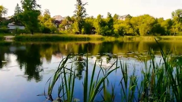 "Там чудеса, там Леший бродит, Русалка на ветвях сидит" смотреть онлайн