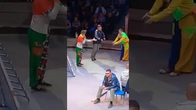 выступление в цирке волгоград смотреть онлайн
