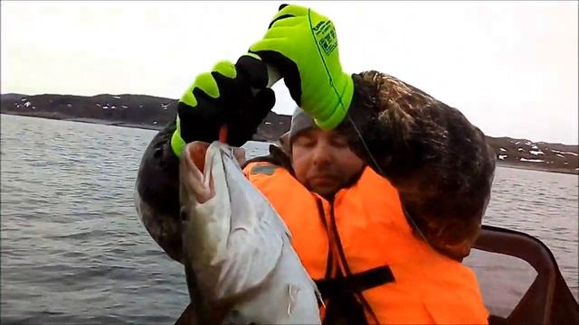 2019.05.25 Полная лодка трески. Териберка смотреть онлайн