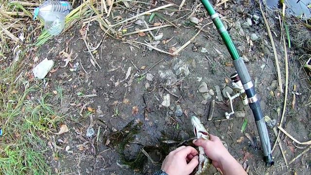 Ловля щуки на живця смотреть онлайн