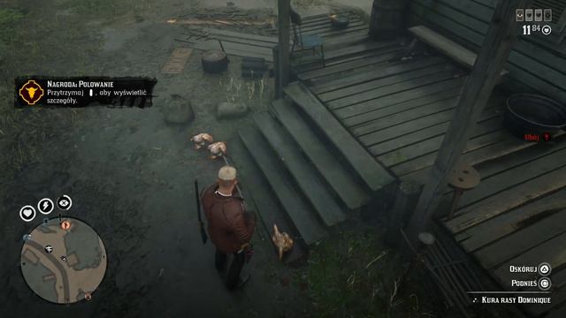 Red Dead Online Wyzwania Dnia #146 Oskórowane kurczaki смотреть онлайн