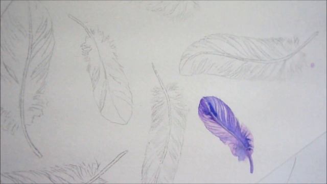 Как я рисую перья. Акварельная иллюстрация для стока: перья / watercolor sketch feathers смотреть онлайн