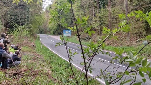 WRC CROATIA 2022 / FORD PUMA WRC 2022 / stage trakošćan vrbno / flat out смотреть онлайн