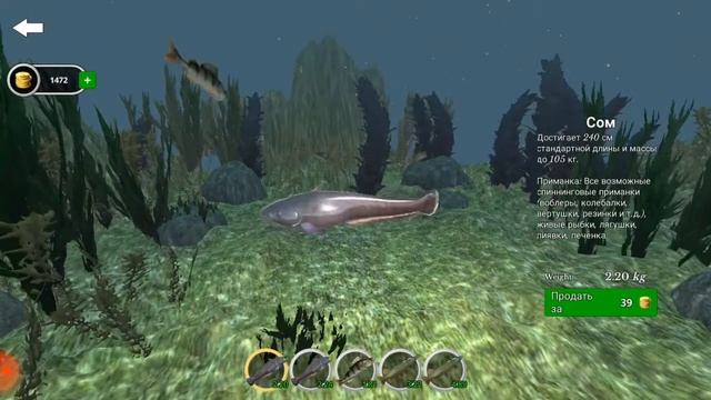 ловим рыбу в ультиматум фишинг симулятор