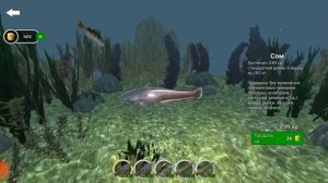 ловим рыбу в ультиматум фишинг симулятор