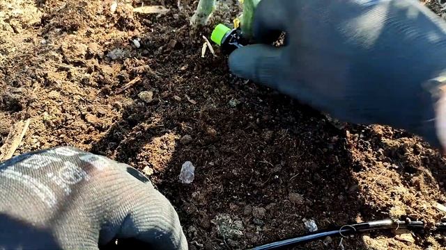 Install a Automatic Micro Drip Irrigation System For Raised Bed Garden / Automatic Watering System смотреть онлайн