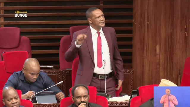 BUNGE LA 12 MKUTANO WA SABA WA BUNGE LA BAJETI KIKAO CHA NANE - TAREHE 19 APRILI, 2022 смотреть онлайн