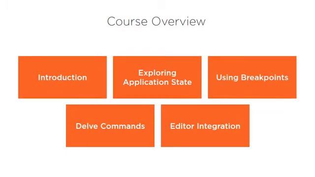 Course Preview: Debugging Go Applications with Delve смотреть онлайн