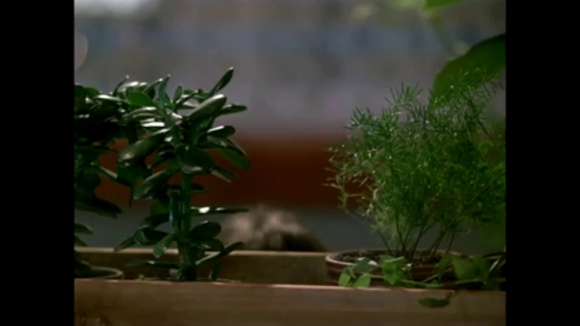 Танец из фильма Родня смотреть онлайн