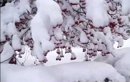 Белым снегом - Алиса Супронова смотреть онлайн